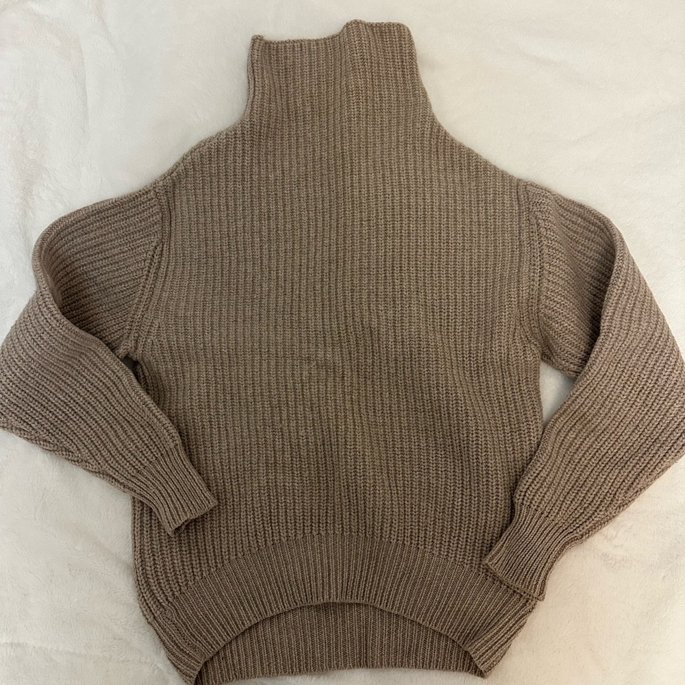 Aritzia turtleneck